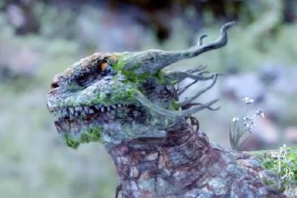 ��ǧ�Ǻ�������˭ ��ô�ɰ����ֵ�������ʲô������