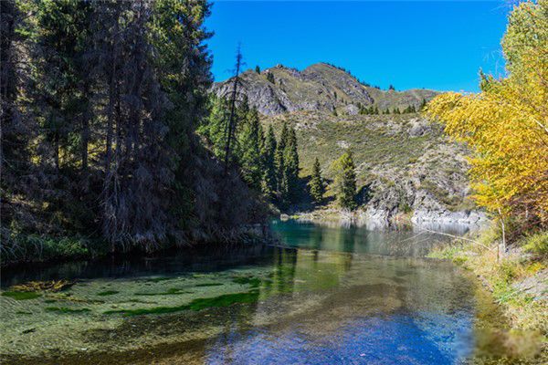 ��ʱ��ʲôʱ�� ʮ��ʱ����ʮ����Ф����ϵ