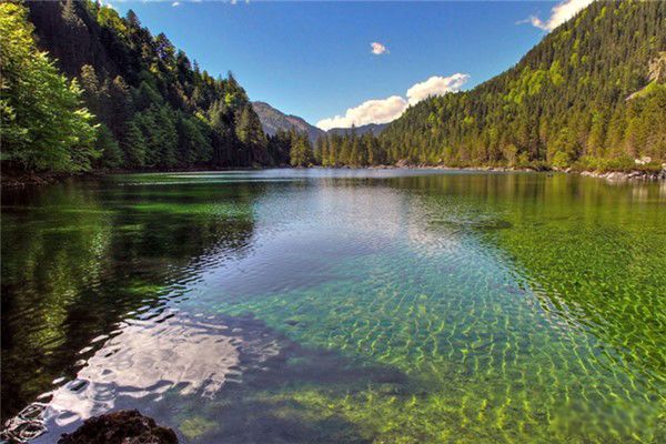 ��ʱ��ʲôʱ�� ʮ��ʱ����ʮ����Ф����ϵ