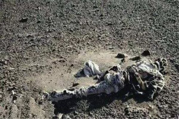 新疆三十万复制人 新疆罗布泊双鱼玉佩神秘事件