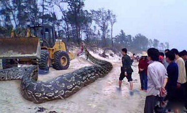 ���߳�С������ʵ�¼� էһ��ȥȷʵͦ���˵�