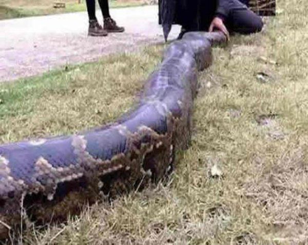 ���߳�С������ʵ�¼� էһ��ȥȷʵͦ���˵�