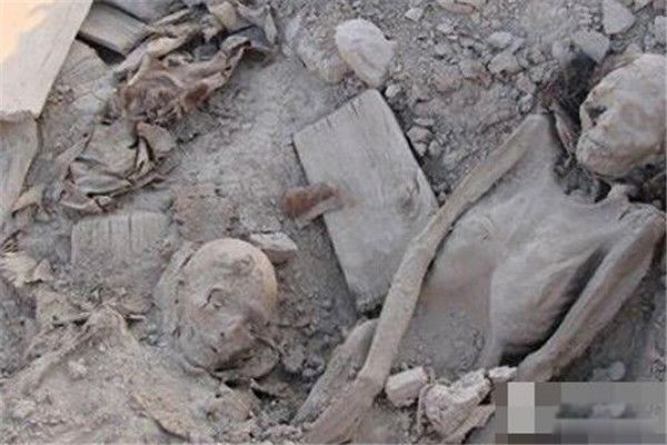 ����ľ˫���������� �޲���˫�����徵����������һ������ľ