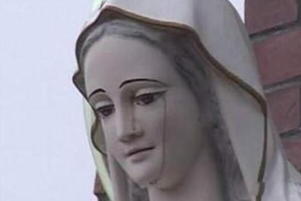 ʥĸѪ������ô����? ʥĸѪ�������¼��ı�������