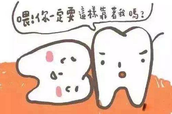 ���ǳݻ������ ���ǳ�ע����������ɺ����