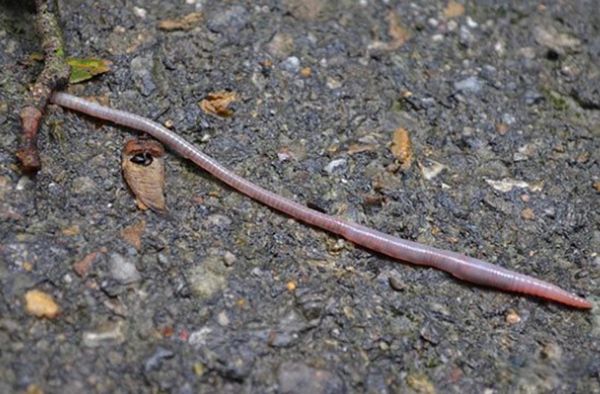 ҽԺ�ֲ�������ʵ�¼�����ǰʮ ͣ�ĸ�Ůʧȥ��֪������ɪɪ����