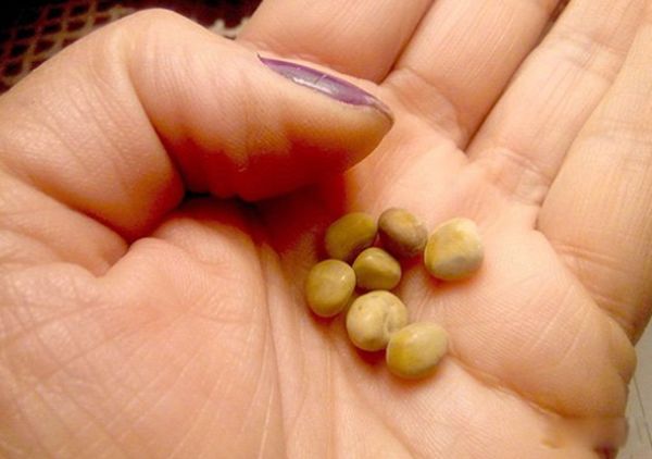 ҽԺ�ֲ�������ʵ�¼�����ǰʮ ͣ�ĸ�Ůʧȥ��֪������ɪɪ����