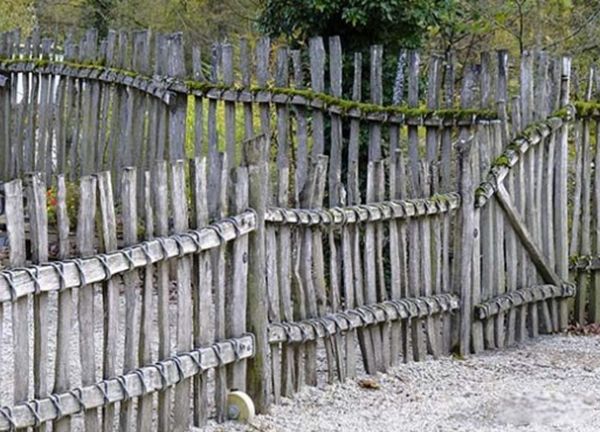 ҽԺ�ֲ�������ʵ�¼�����ǰʮ ͣ�ĸ�Ůʧȥ��֪������ɪɪ����