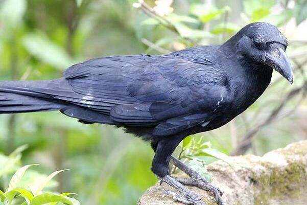 ʮ���������Щ ��������������ʮ�����������ʲô