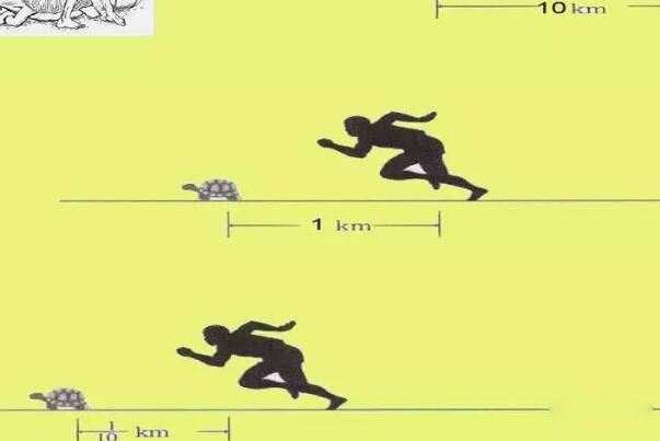 ʮ���������Щ ��������������ʮ�����������ʲô