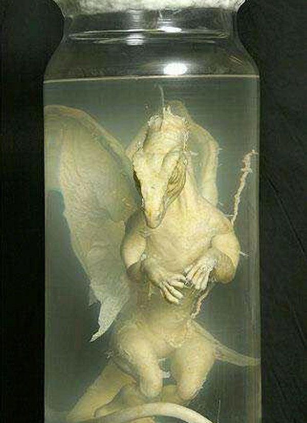 ���Ĵ�˵������Ƭ ������ɽ�Ϸ����������¼��������