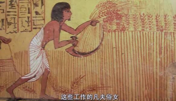 古埃及人是什么人种? 是黑人还是白人事实果真如此吗