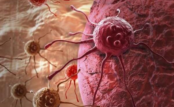 ������������˹��˭ ������������˹��״��ô����