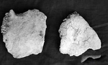 ����ɽŮ��ŹǸ�ԭͼ Ů���ַ��������