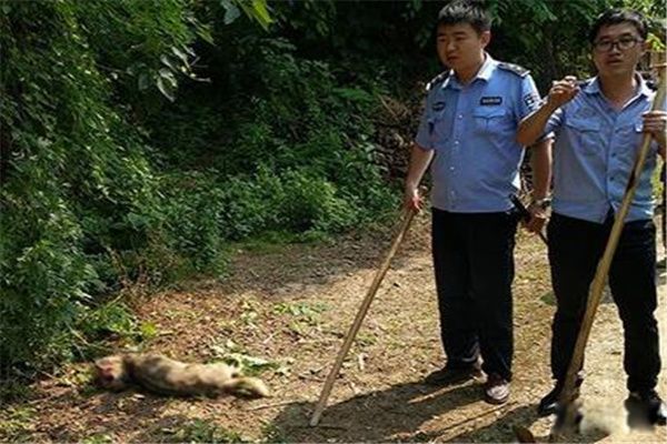 �蹷ҧ�˷�����ʵ�¼� ʮ����ͻ���蹷ҧ���¼�