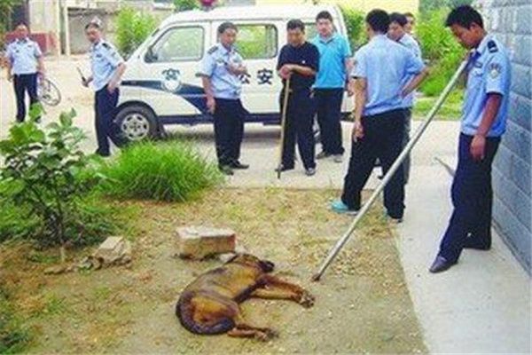 �蹷ҧ�˷�����ʵ�¼� ʮ����ͻ���蹷ҧ���¼�