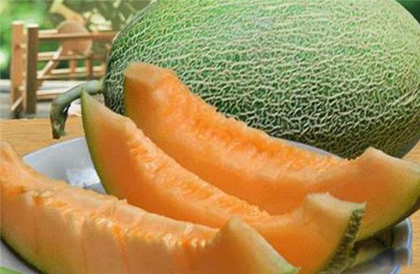 ���ܹϵ������빦Ч һ�ٿ˹��ܹϵ���������?�ʺϼ��ʳ���?