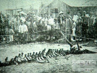 ���Ĵ�˵������Ƭ ������ɽ�Ϸ����������¼��������