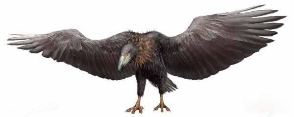 �����������Щ���� ����Գ��Գ�ش�500�๫��