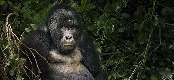 �����������Щ���� ����Գ��Գ�ش�500�๫��