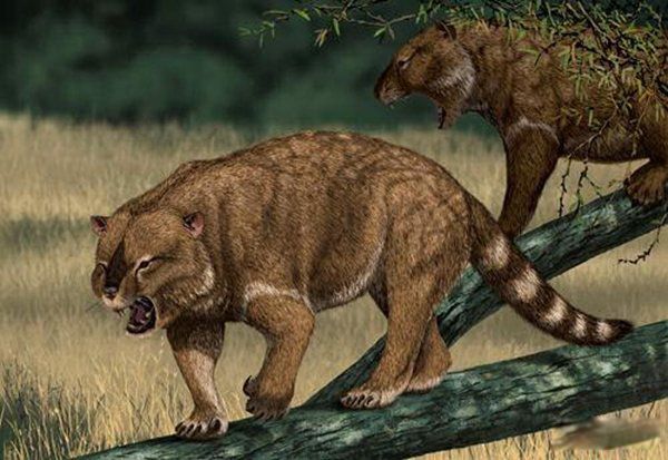 �����������Щ���� ����Գ��Գ�ش�500�๫��