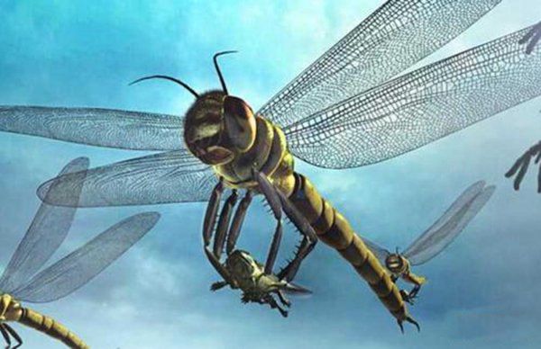 �����������Щ���� ����Գ��Գ�ش�500�๫��