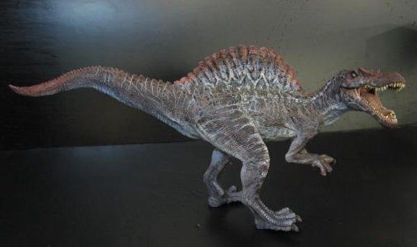 �����������Щ���� ����Գ��Գ�ش�500�๫��