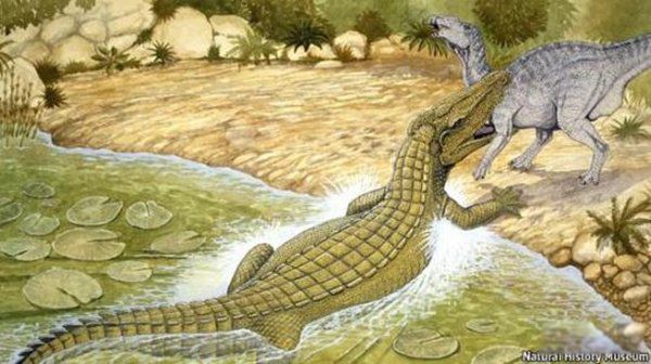 �����������Щ���� ����Գ��Գ�ش�500�๫��