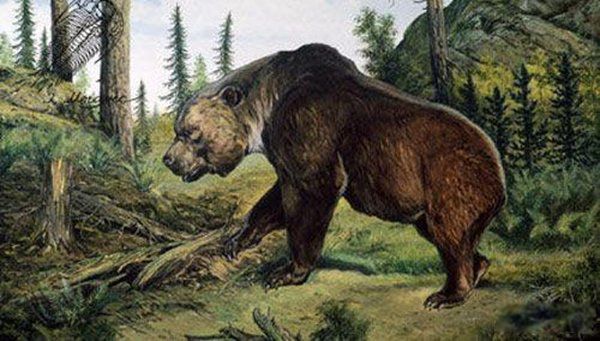 �����������Щ���� ����Գ��Գ�ش�500�๫��