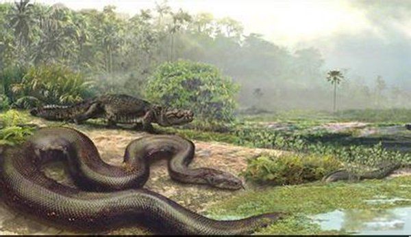 �����������Щ���� ����Գ��Գ�ش�500�๫��