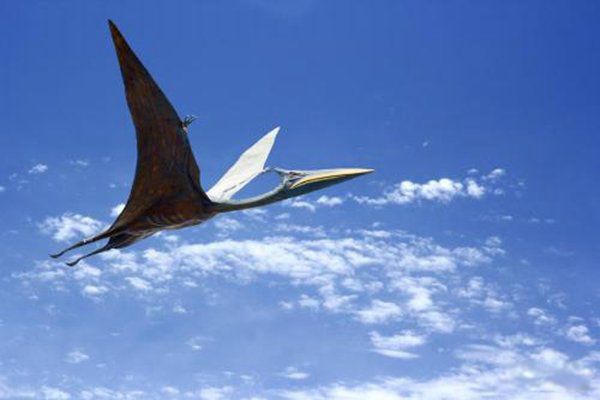 �����������Щ���� ����Գ��Գ�ش�500�๫��