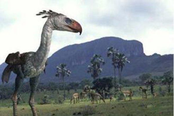 �����������Щ���� ����Գ��Գ�ش�500�๫��