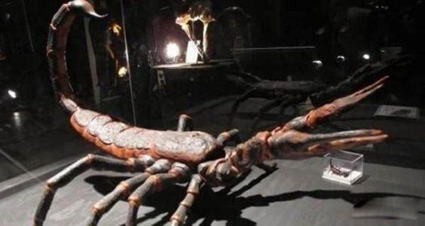 �����������Щ���� ����Գ��Գ�ش�500�๫��