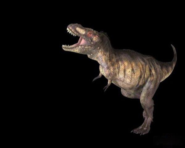 �����������Щ���� ����Գ��Գ�ش�500�๫��