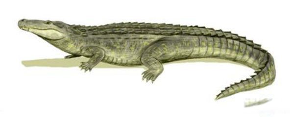 �����������Щ���� ����Գ��Գ�ش�500�๫��