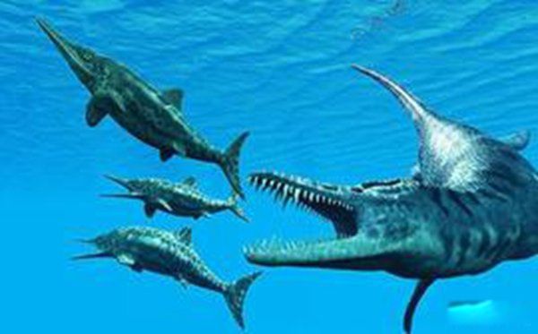 �����������Щ���� ����Գ��Գ�ش�500�๫��