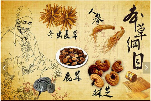 ���ݸ�Ŀ��������˭ ��ʱ�䱾�ݸ�Ŀд�˶�����