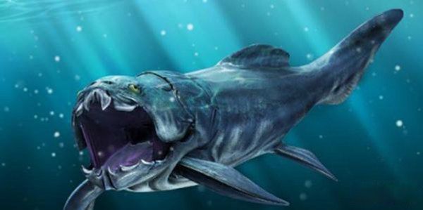 �����������Щ���� ����Գ��Գ�ش�500�๫��