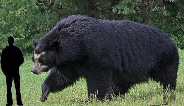 �����������Щ���� ����Գ��Գ�ش�500�๫��