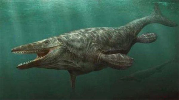 �����������Щ���� ����Գ��Գ�ش�500�๫��