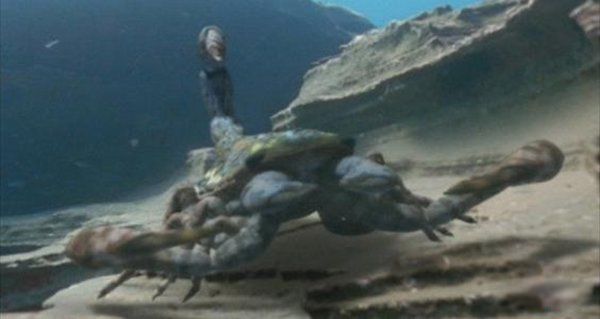 �����������Щ���� ����Գ��Գ�ش�500�๫��