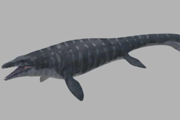 ����������ͼƬ������ ��������������������