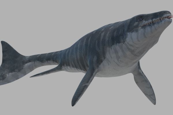 ����������ͼƬ������ ��������������������