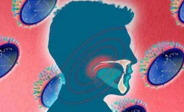 ������ʲô��˼��������ϸ�� ���е�Σ����Ԥ��֪ʶ