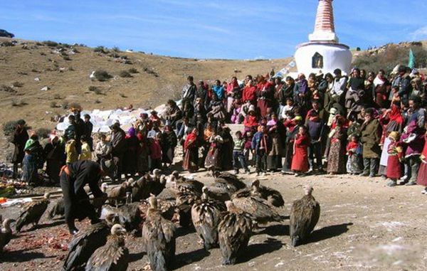 ������ʲô��˼ ʲô������ͺ�ճ���ȫ����