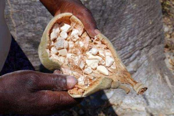 ���޺��������ʵ���Գ��� ��ʵ�����ú�Ӫ���ó���