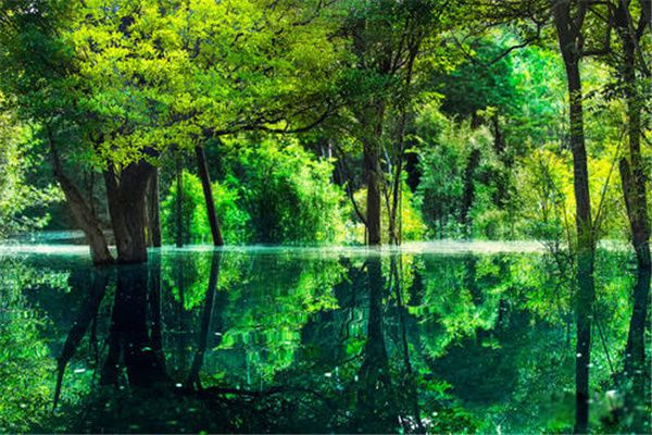 ����ѷɭ�ִ���������� ʷ�������ֳ�����Ű��16��