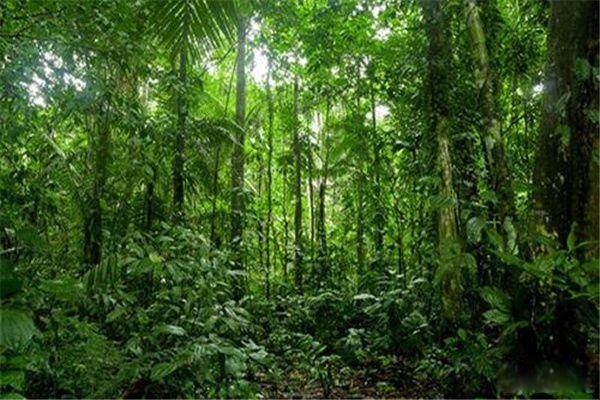 ����ѷɭ�ִ���������� ʷ�������ֳ�����Ű��16��