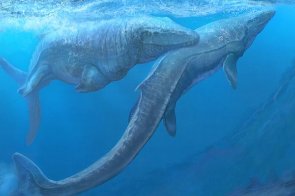 ����������ͼƬ������ ��������������������