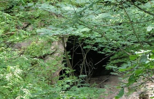 ����������Ĵ����� ��������ʵ���ڵ��¼�